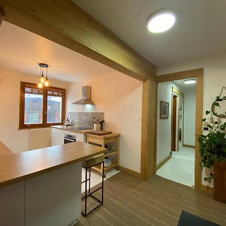 Brise Du Mont Appartement Chamonix