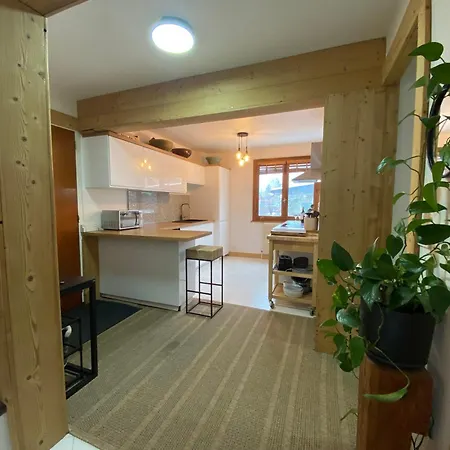Appartement Brise Du Mont Chamonix