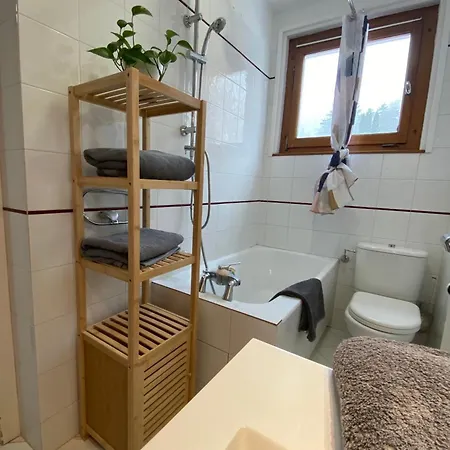 Appartement Brise Du Mont Chamonix